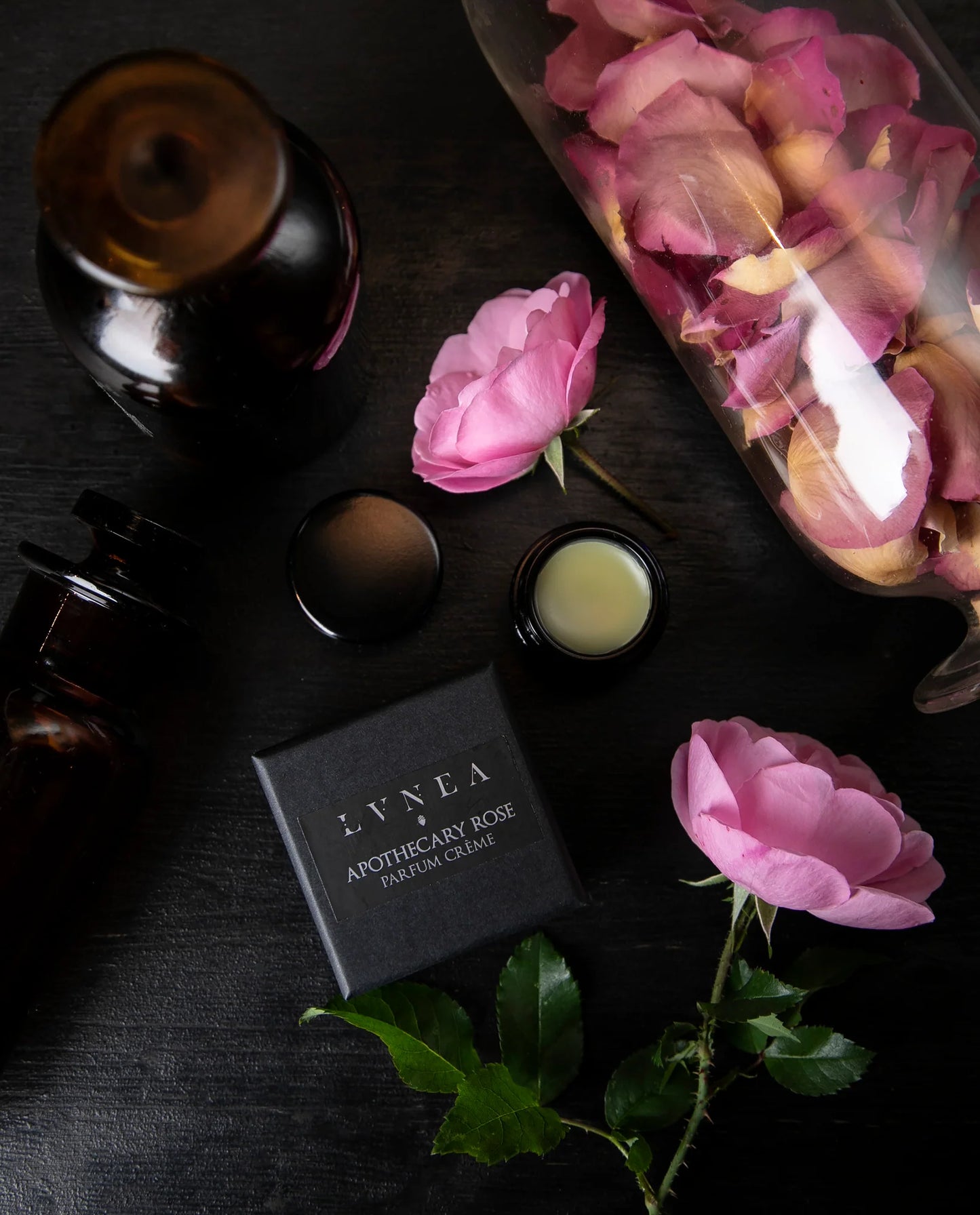 APOTHECARY ROSE Parfum Crème - rose gallica, apricot, myrrh by LVNEA