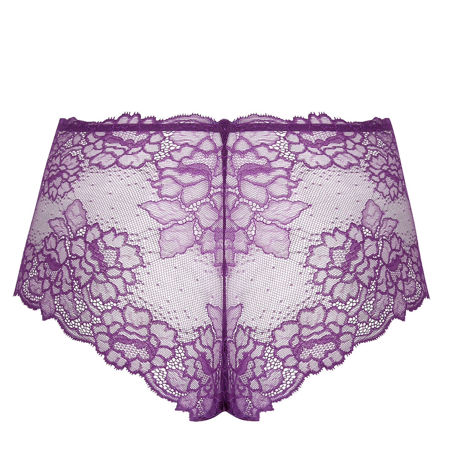 Sublime En Dentelle in Sublime Iris High-waisted Brief By Lise Charmel - S-XXL