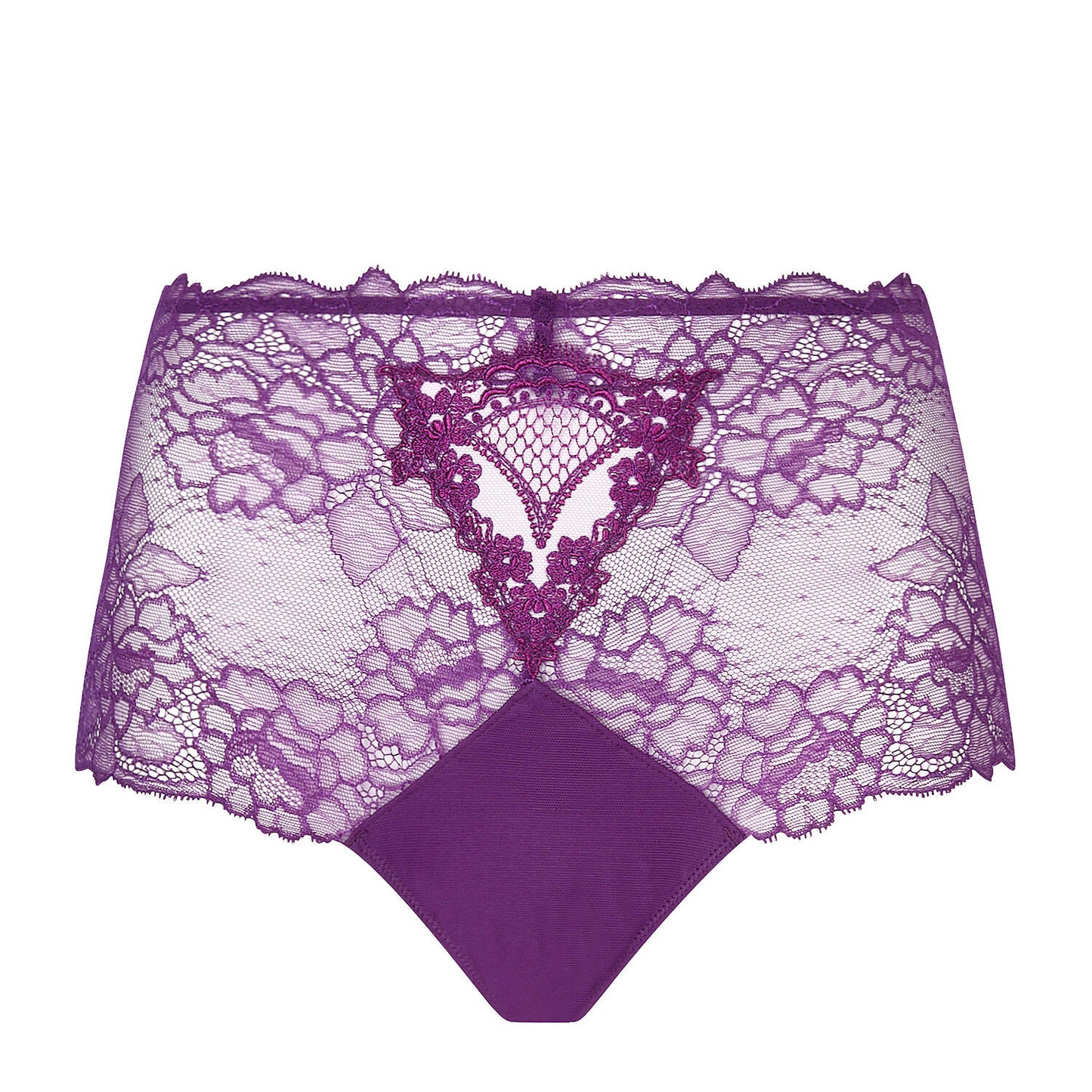 Sublime En Dentelle in Sublime Iris High-waisted Brief By Lise Charmel - S-XXL