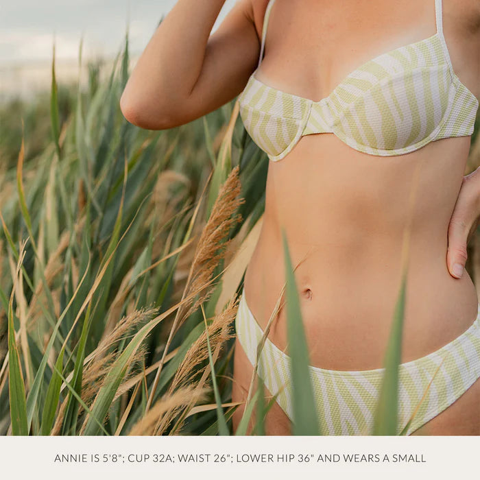 Kingdom + State Lime Zebra Print Bikini - XS-2X