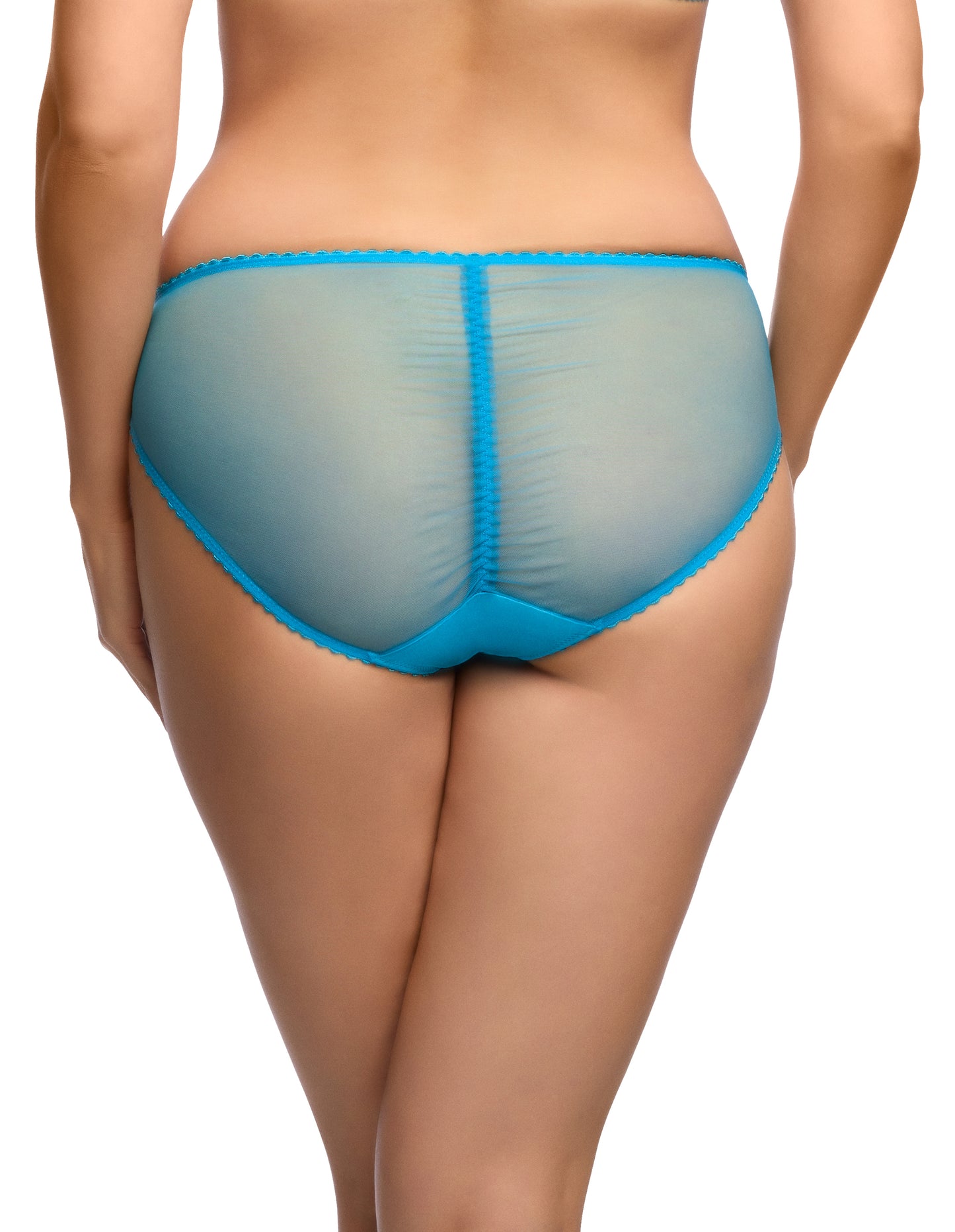 Julie's Roses Bikini Brief In Butterfly Blue By Dita Von Teese -XS