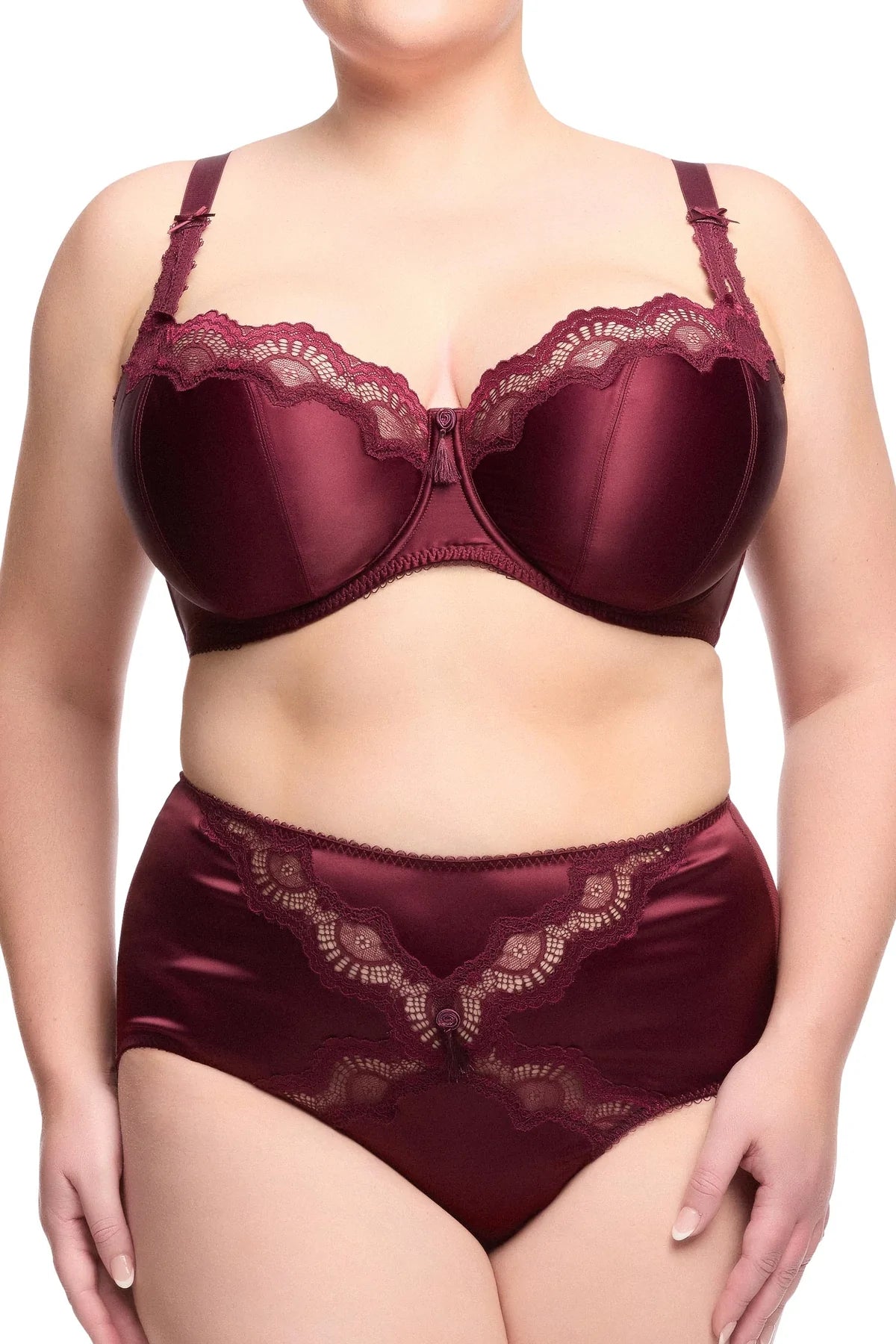 Star Lift Full Brief in Plum By Dita Von Teese - XL-4X