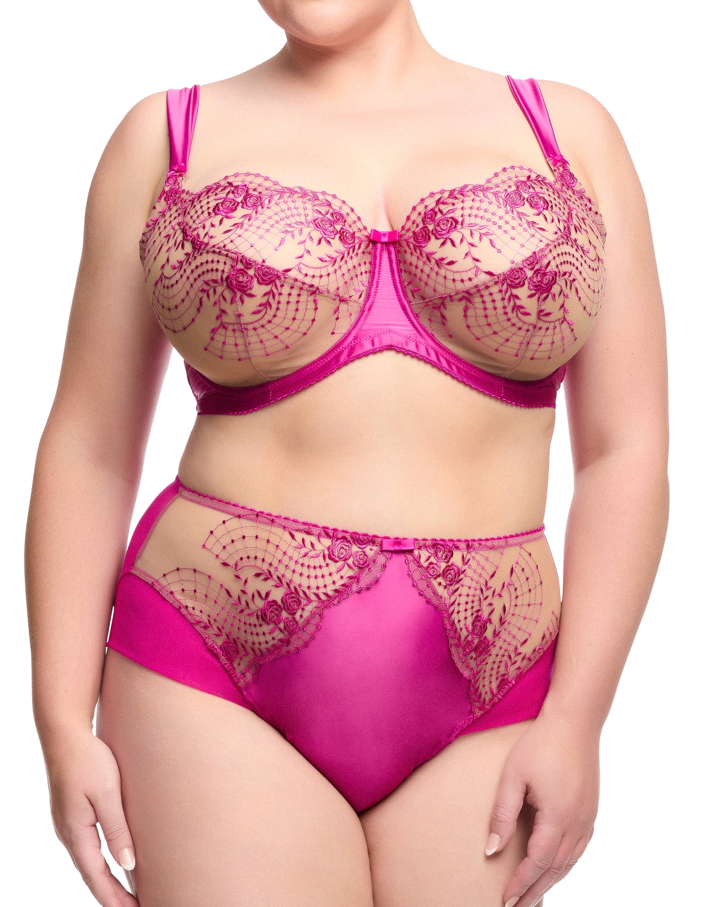 Julie's Roses Rubine High Waist Brief By Dita Von Teese - sizes S-4X