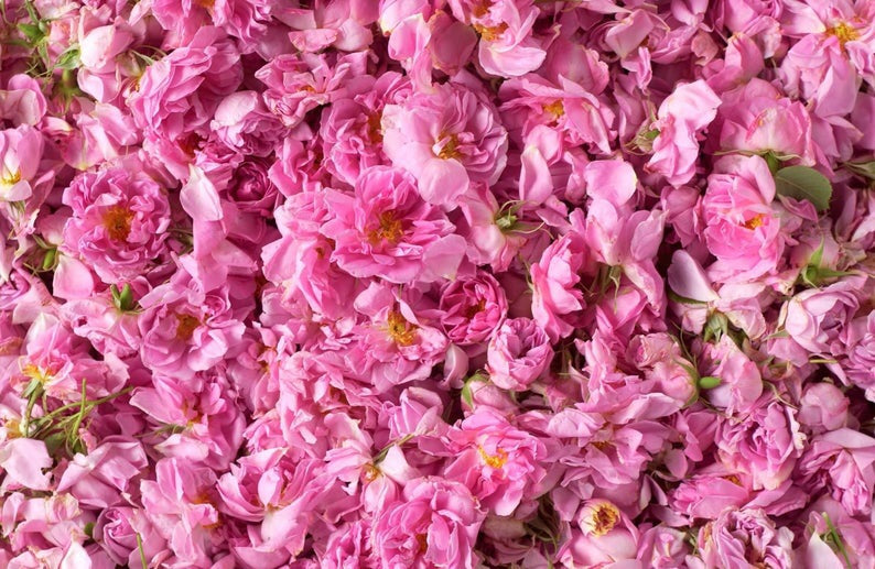 Rose Water - Eau Du Toilette - w/ sprayer