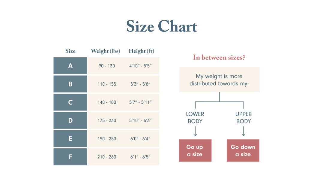 Sheer Contour Tights - 4 nudes + black