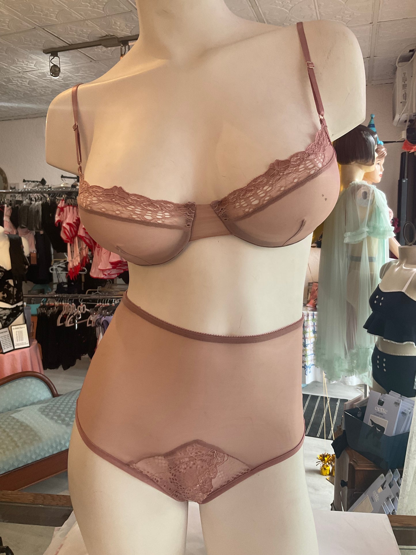 Whisper Sweet Nothings CouCou High Waist Brief in  Rose Water By Only Hearts Lingerie - S-XL