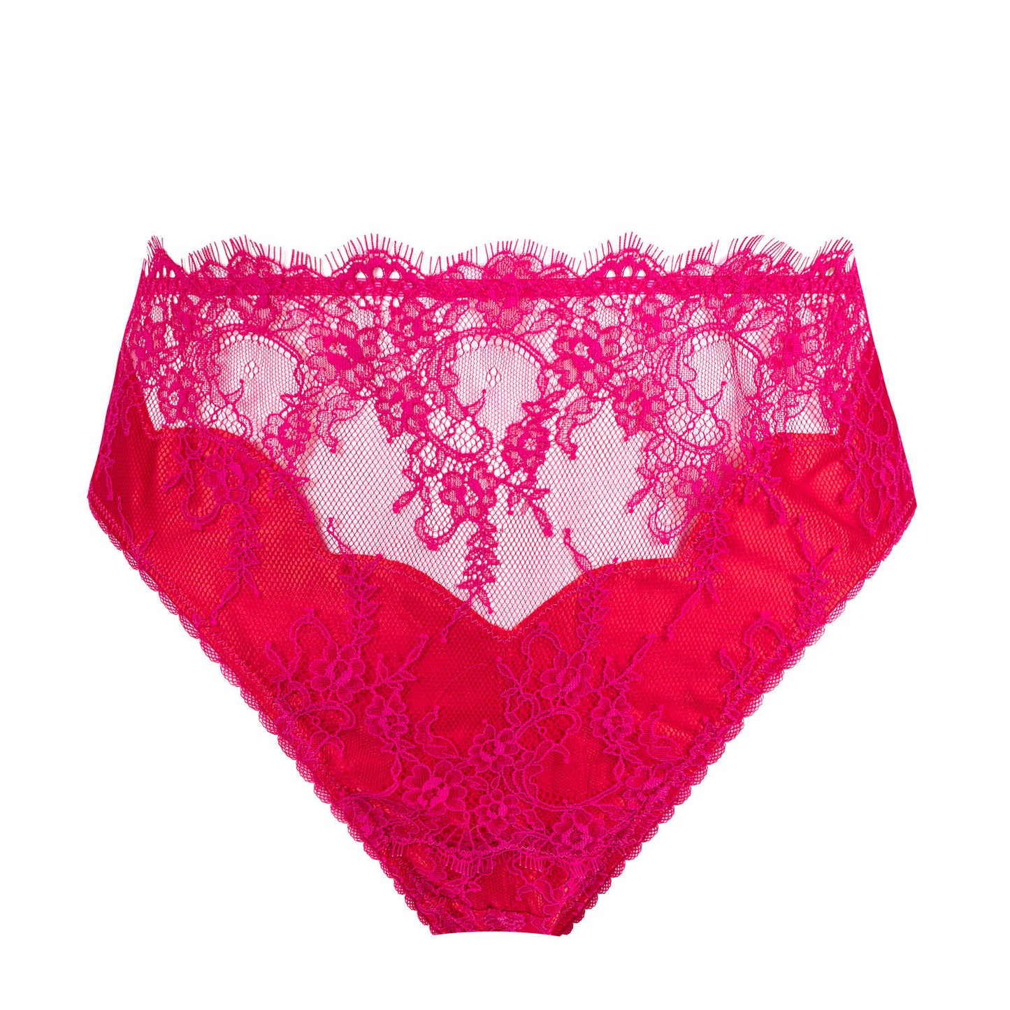 Zsa Zsa Magenta Brief By Dita Von Teese Lingerie - S-4X