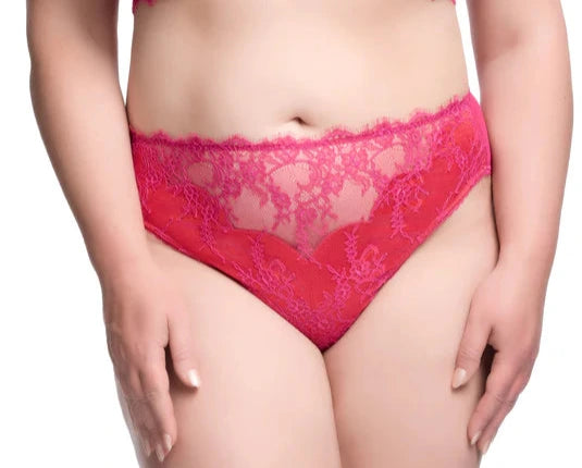 Zsa Zsa Magenta Brief By Dita Von Teese Lingerie - S-4X