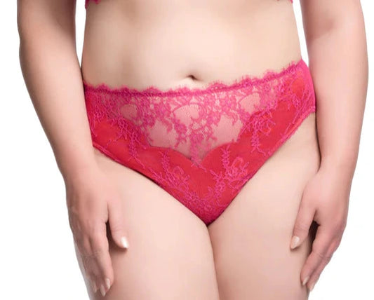 Zsa Zsa Magenta Brief By Dita Von Teese Lingerie - S-4X