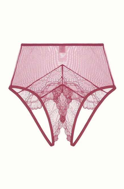 Whisper Sweet Nothings CouCou High Waist Brief in  Rose Water By Only Hearts Lingerie - S-XL