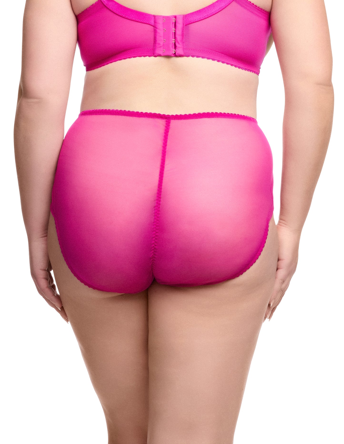 Julie's Roses Rubine High Waist Brief By Dita Von Teese - sizes S + 4X