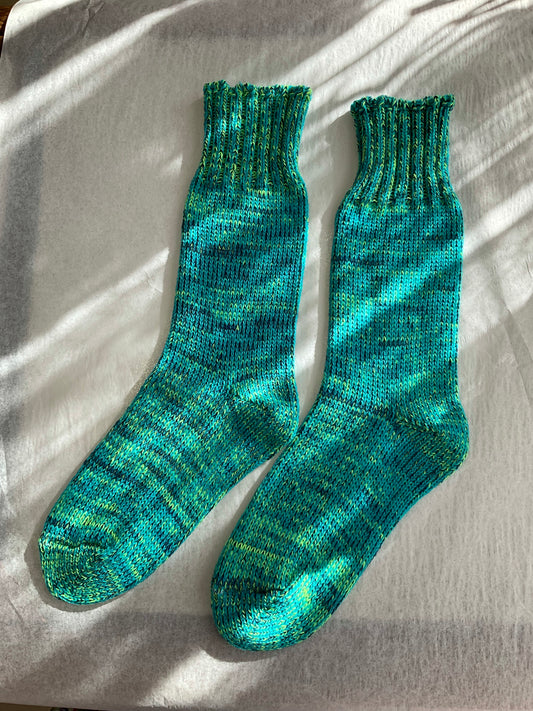 Sunday Socks In Aquarium By OkayOk